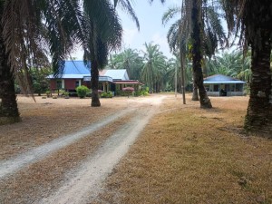 Tanah untuk dimiliki Jln Tailong Sg Pelek Sepang, Jalan Tailong Kg Ulu Chuchoh 43950 Sg Pelek Selangor
